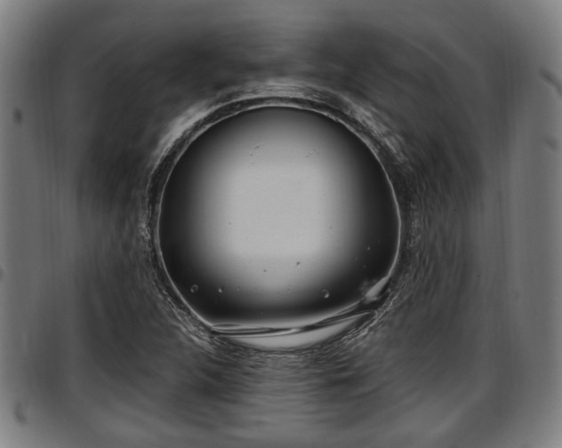 X0000097471312200802291301