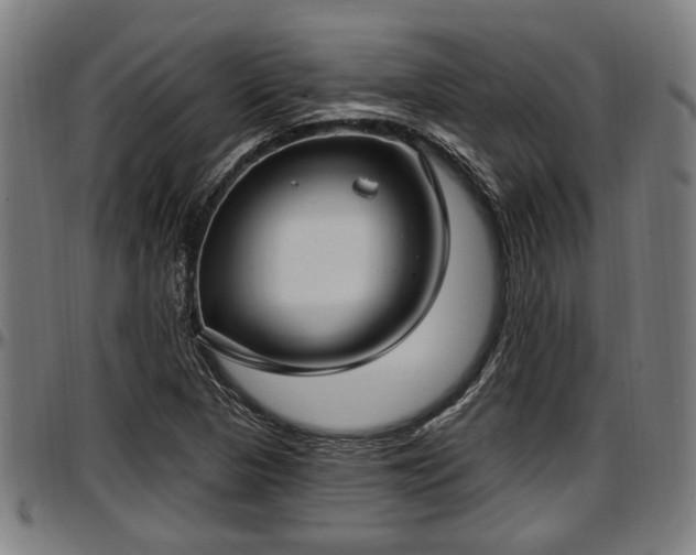 X0000097471313200802291301
