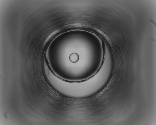 X0000097471314200802291301