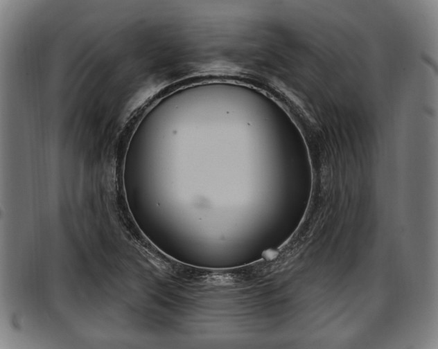 X0000097471315200802291301