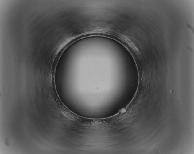 X0000097471316200802291301