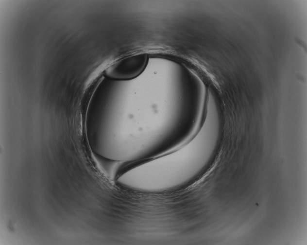 X0000097471317200802291301