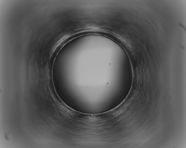 X0000097471318200802291301