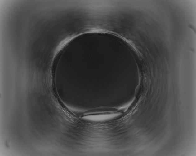 X0000097471319200802291301