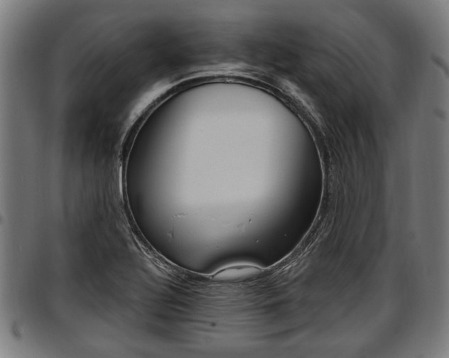 X0000097471320200802291301