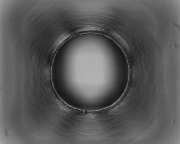 X0000097471321200802291301
