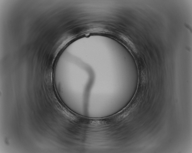 X0000097471322200802291301