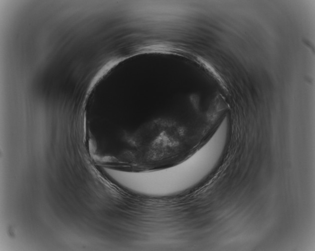 X0000097471323200802291301