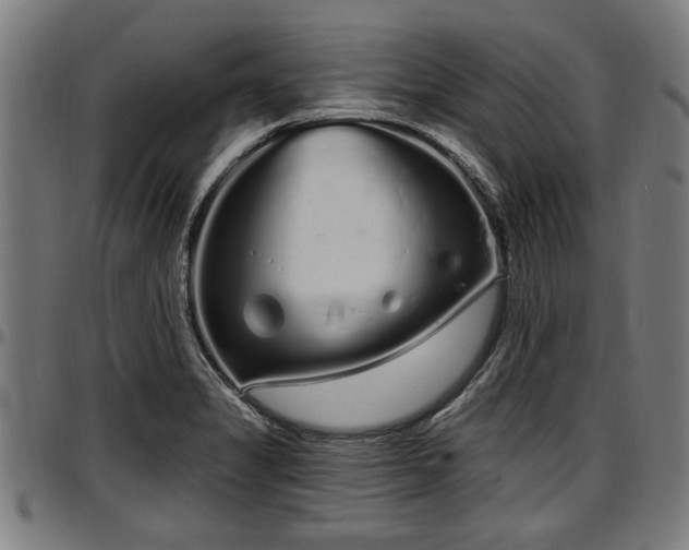 X0000097471325200802291301