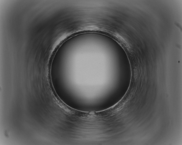 X0000097471326200802291301