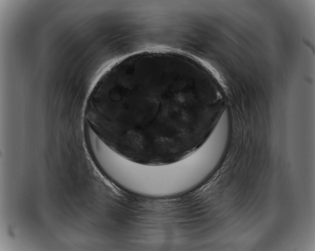 X0000097471327200802291301