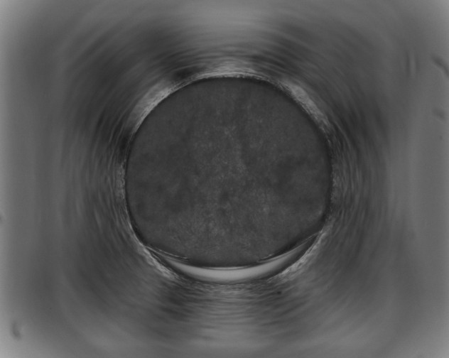 X0000097471329200802291301