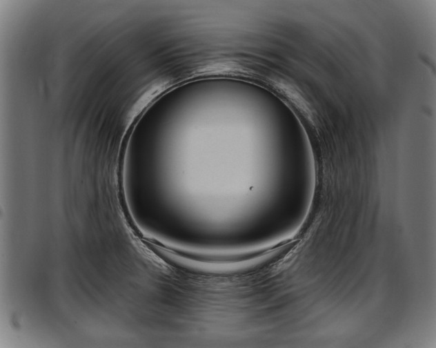 X0000097471330200802291301