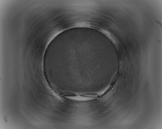X0000097471331200802291301