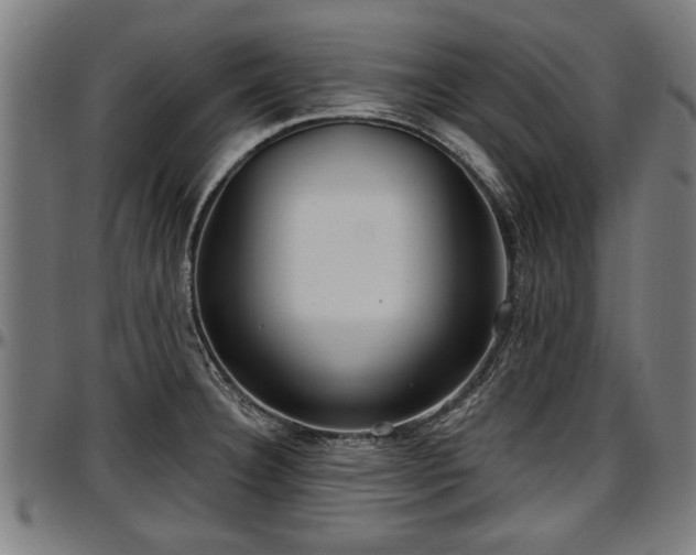 X0000097471332200802291301