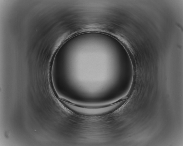 X0000097471333200802291301