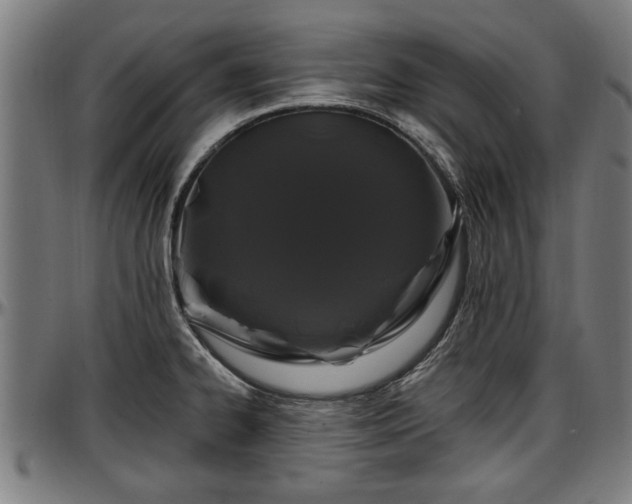 X0000097471334200802291301