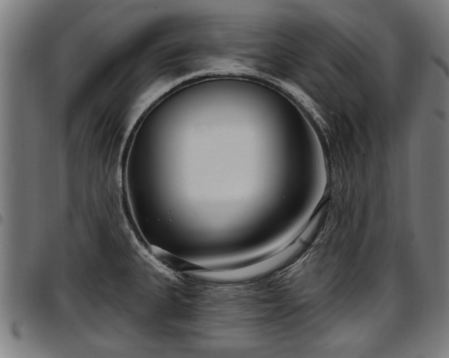 X0000097471335200802291301