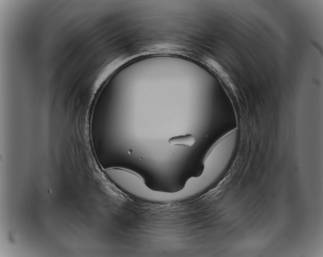 X0000097471336200802291301