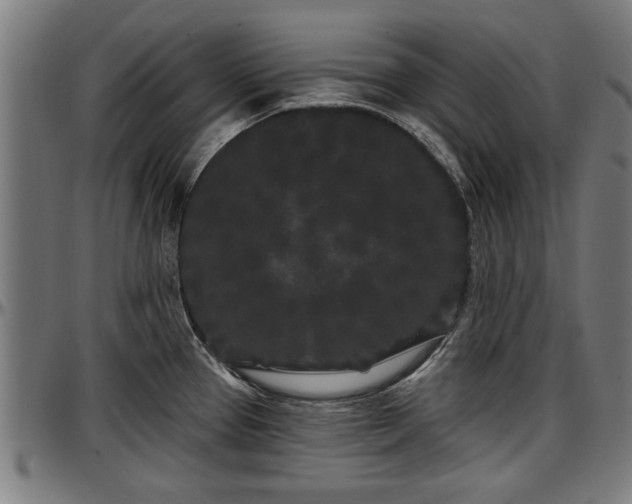 X0000097471337200802291301