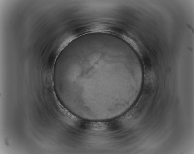 X0000097471338200802291301
