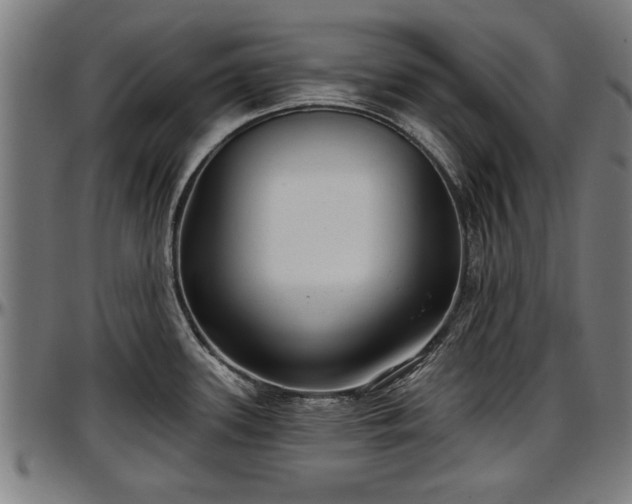 X0000097471339200802291301