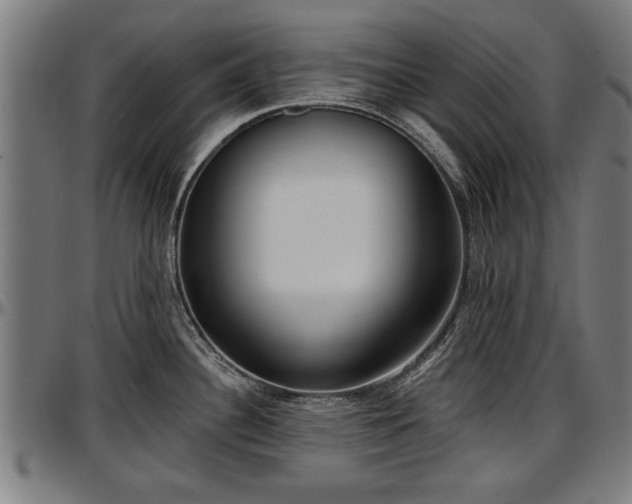 X0000097471340200802291301