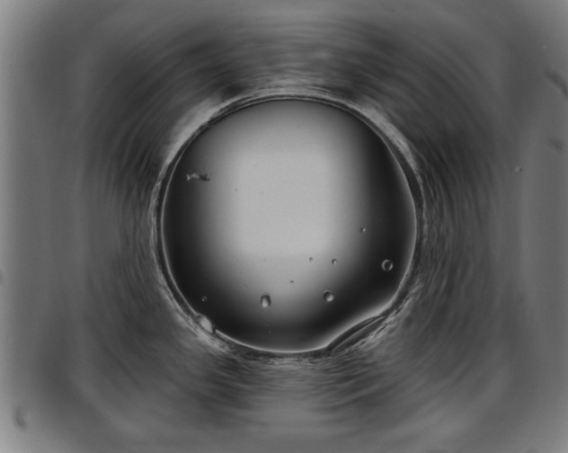 X0000097471341200802291301