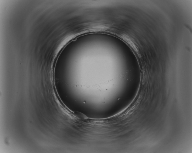 X0000097471342200802291301