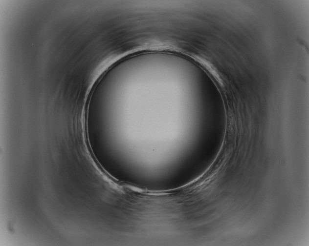 X0000097471343200802291301