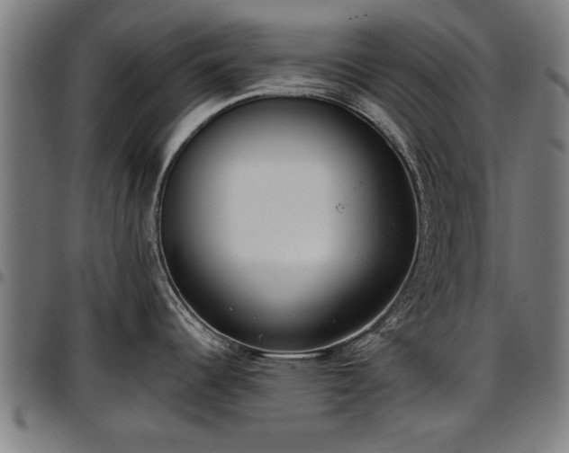 X0000097471344200802291301