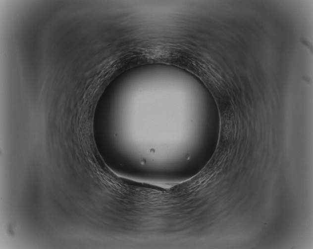 X0000097471345200802291301