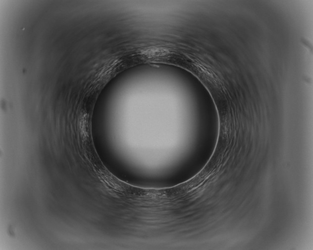 X0000097471346200802291301
