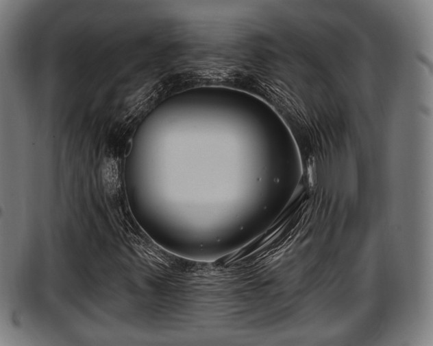 X0000097471347200802291301