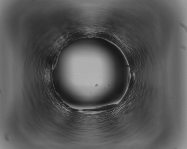 X0000097471348200802291301