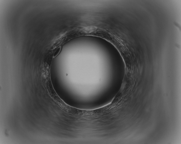 X0000097471349200802291301