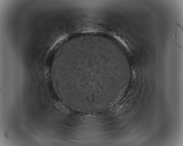 X0000097471351200802291301
