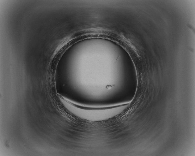 X0000097471352200802291301