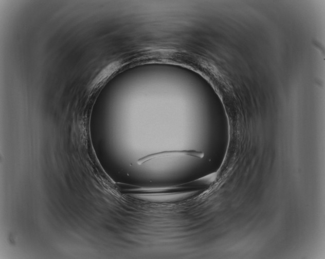 X0000097471354200802291301
