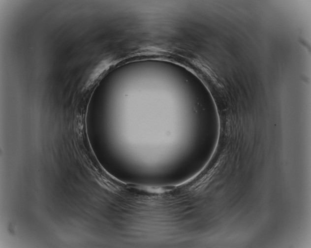 X0000097471355200802291300