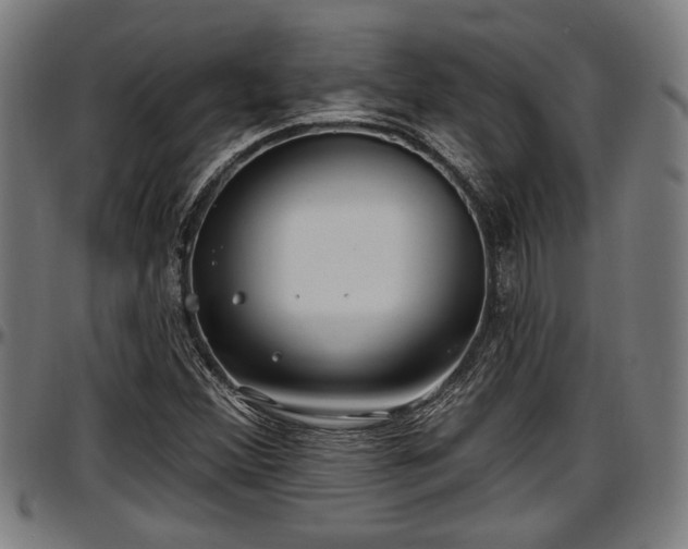 X0000097471356200802291300