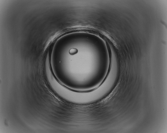 X0000097471357200802291300