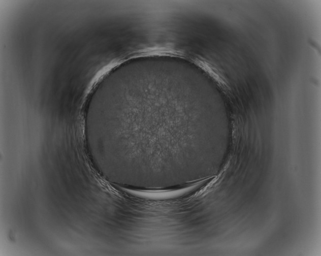 X0000097471358200802291300