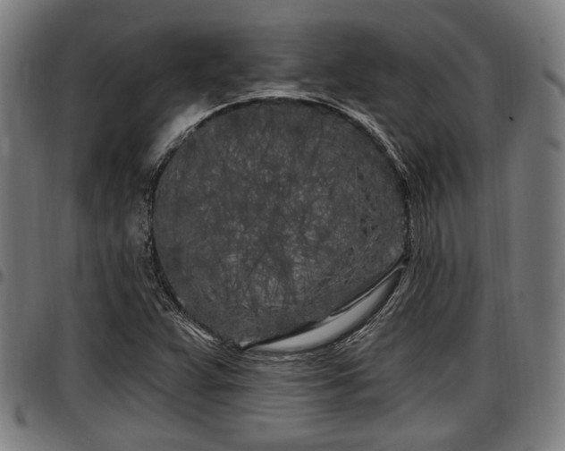 X0000097471359200802291300