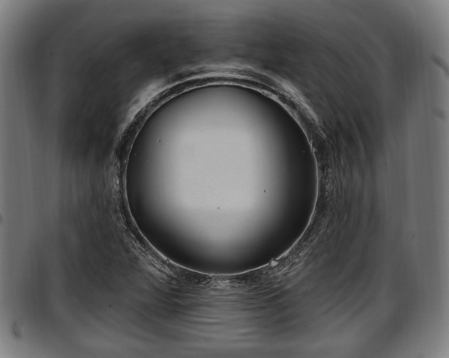 X0000097471360200802291300