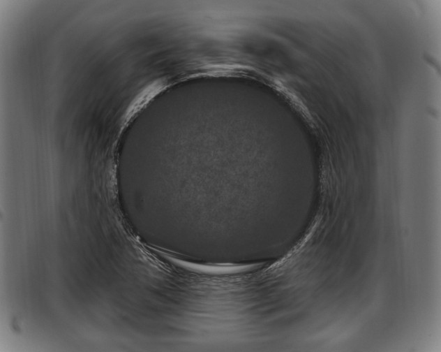 X0000097471362200802291300