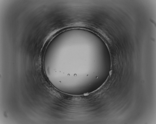 X0000097471364200802291300