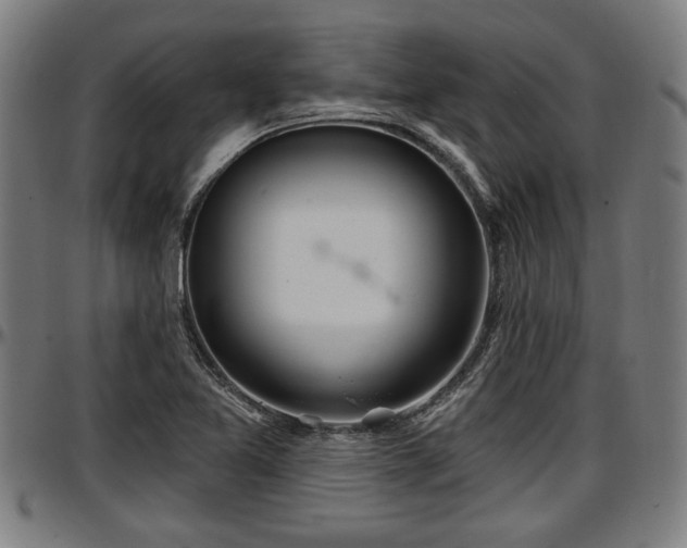 X0000097471365200802291300