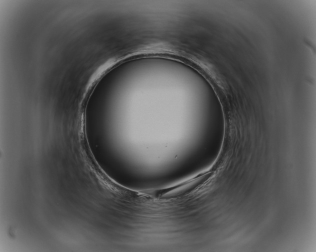 X0000097471366200802291300