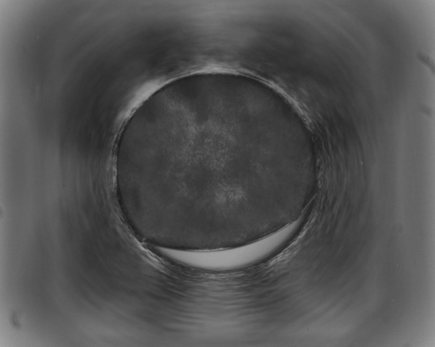 X0000097471367200802291300